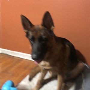 Meet your Posher, Veronica